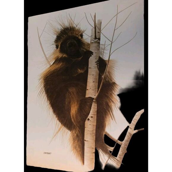 1980 American Wildlife Greeting 8 Cards From Current Vintage w Envelopes & Box - Picture 10 of 16